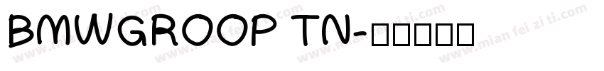 BMWGROOP TN字体转换